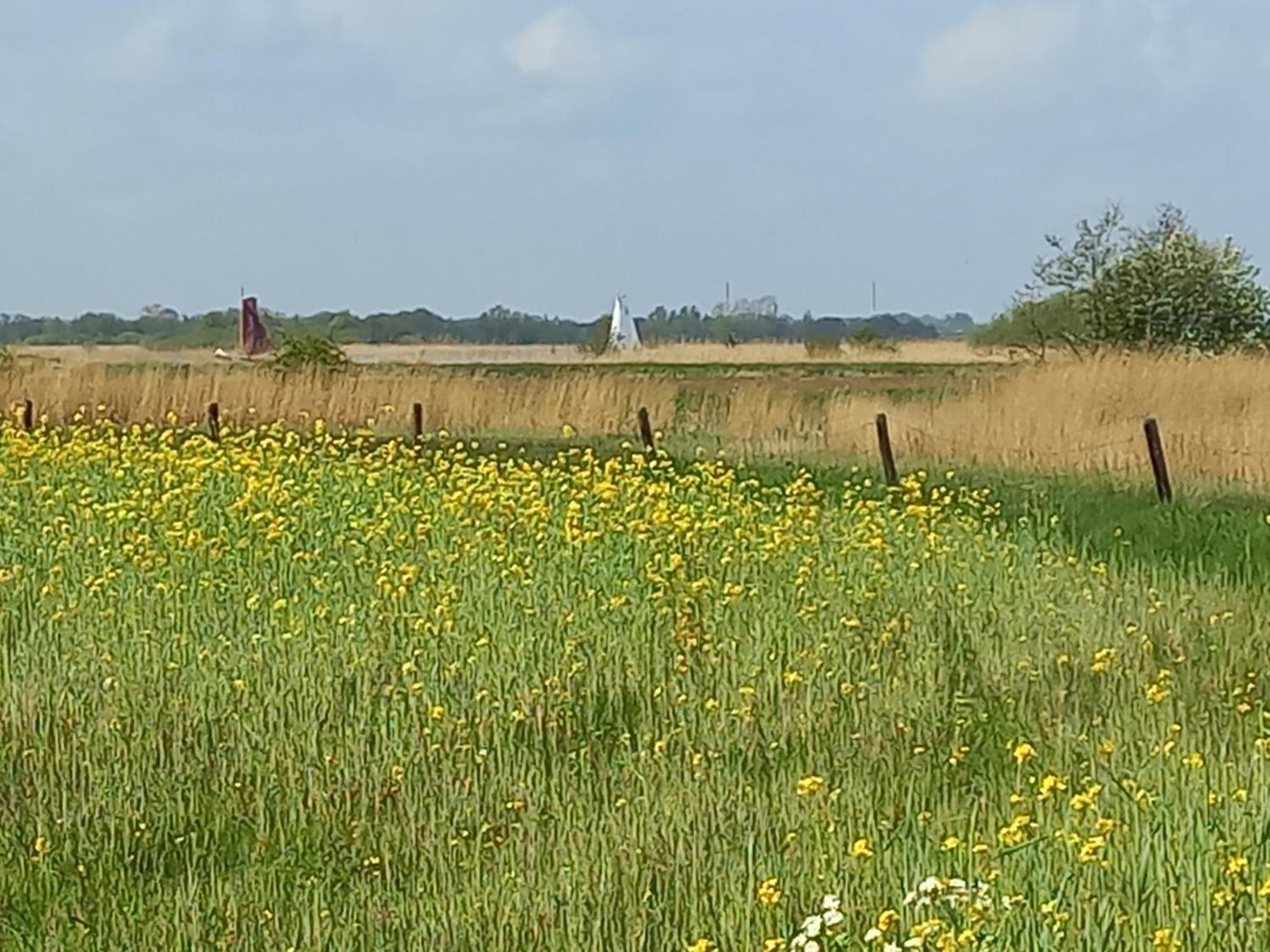 Eastay Oostermeer Exteriör bild